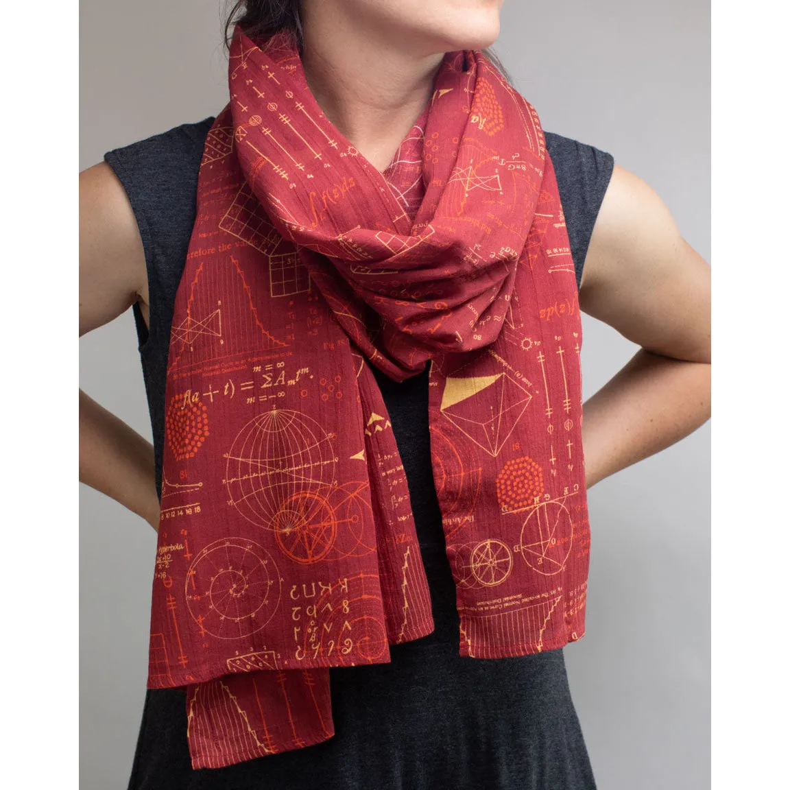 Equations That Changed the World Scarf