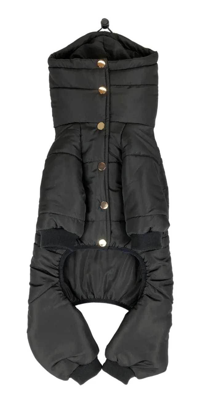 Pretty Paw Expedition Snow Suit